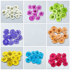 Commercio all'ingrosso piccolo <span class=keywords><strong>Zou</strong></span> Jiao fai da te materiale fiori secchi in rilievo cotone per telefono cellulare colla cosmetici colorante-lavorato pianta essiccata - Product Image 5