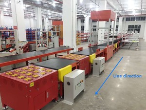 Các nhà sản xuất chuyên nghiệp và hàng đầu kho Kích thước máy quét DWS Phân Loại hệ thống - Product Image 3
