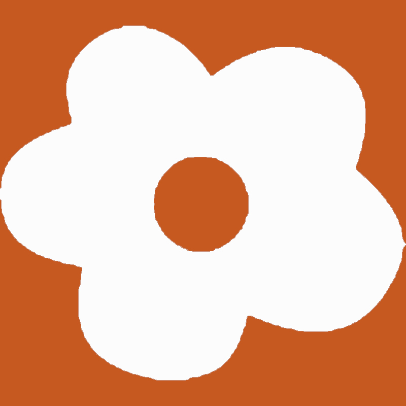DT-S-Orange