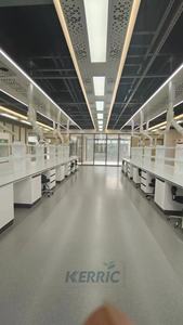 Campana de humos de PP para laboratorio resistente a productos químicos, precio del equipo de humos de laboratorio - Product Image 3