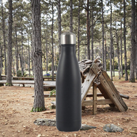 Bouteille d'eau sous vide isolée à double paroi de 500ml Bouteille d'eau au design moderne en acier inoxydable 304 Thermos gratuit pour les tasses de randonnée