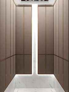 Ascenseur hydraulique en verre résidentiel moderne OTIS pour villas, entraînement par courant alternatif, ascenseur domestique, machine à traction sans engrenage, planchers en PVC, CE/EAC - Product Image 2