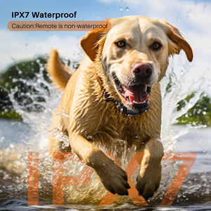Untuk p-kerah 642A IPX7 TPU kerah kejut latihan anjing jarak jauh kerah E pelatih pintar 3 mode keamanan hanya penerima ramah lingkungan - Product Image 1