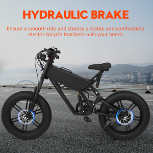 Vélo de montagne électrique à vitesse variable KAMAS, nouvelle version, robuste, double transmission, neige, 750W, 40-60 km/h, pour homme - Product Image 1