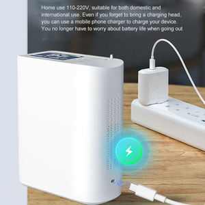 パルス式1L-10L 933%酸素濃度 6L流量 小型ミニ酸素濃縮器＆発生器 ペットクリニック理学療法用 - Product Image 5