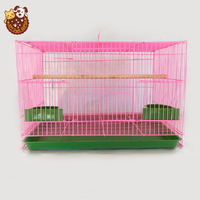 Mini Cage à oiseaux canaire en fer, ornement métallique, petite Cage à oiseau, vente directe d'usine, en stock, 2000