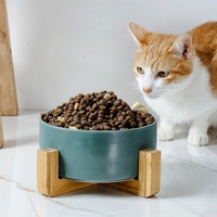 Animal Chien Accessoires Article Luxe Cadre Bambou Surélevé Chien Chat Céramique Nourriture Eau Double Bol Distributeurs