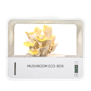 Boîte éco-responsable intelligente à <span class=keywords><strong>arrosage</strong></span> <span class=keywords><strong>automatique</strong></span> <span class=keywords><strong>pour</strong></span> champignons, idéale <span class=keywords><strong>pour</strong></span> les cadeaux, boîte éco-responsable silencieuse <span class=keywords><strong>pour</strong></span> champignons, 1 unité <span class=keywords><strong>pour</strong></span> le bureau avec affichage de la température - Product Image 2