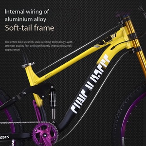 Bicicleta de Montaña Profesional para Descenso con Frenos Hidráulicos, Neumáticos CST 2.2, 10 Velocidades, Suspensión Completa y Cuadro de Aluminio - Product Image 2