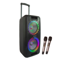 Enceinte PA à roulettes double 10 pouces 60W avec batterie intégrée 12V7AH, lumières RGB, microphones sans fil, télécommande, carte TF pour karaoké extérieur