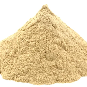 Poudre d'extrait de graines de Shatavari sauvage de qualité alimentaire supérieure, poudre d'asperge pure en vrac - Product Image 4