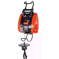 Nouvelle mini-treuil électrique monophasé en aluminium de 250 kg avec câble de levage et télécommande pour restaurants, hôtels, magasins de matériaux de construction