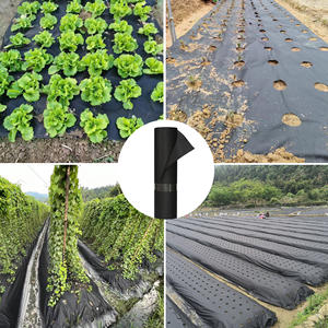 3m genişliğinde X 1000m uzunluğunda yeşil ve siyah Film ruloları 250 <span class=keywords><strong>Um</strong></span> kalınlık 10cm delikli delikler ot örtüsü - Product Image 3