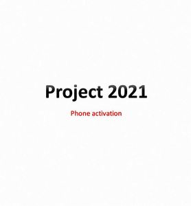 Versión Pro de Activación Telefónica para el Software Project Professional 2016/2019/2021/2024, Envío Garantizado en Línea - Product Image 6
