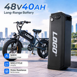 จักรยานไฟฟ้า D40 750W 48V40AH ยางขนาด 20 นิ้ว แรงบิด 80N·m ชาร์จ 7-8 ชั่วโมง ผลิตตามสั่งจากโรงงาน OEM - Product Image 2