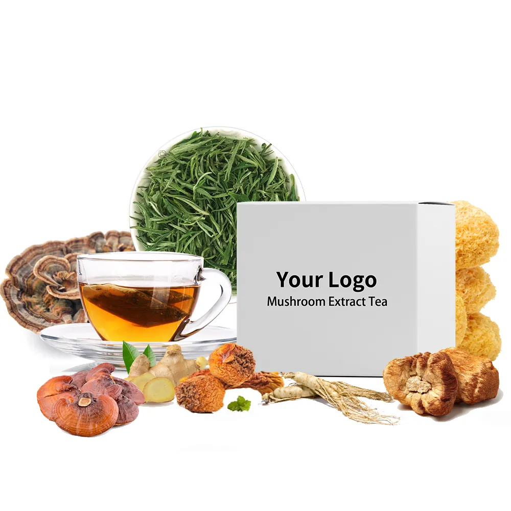 Mushroom Tea Bag Großhandel Kostenlose Probe Private Label 100% natürlicher reiner Pilztee