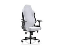 Fauteuil de jeu AJUNION OEM ODM Support lombaire à 4 voies Chaise d'ordinateur Oreiller magnétique en mousse à mémoire de forme Chaise de joueur Accoudoirs 4D entièrement en métal
