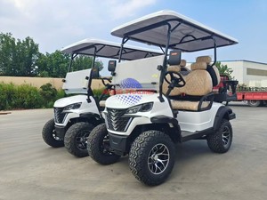 Volante para Carro de Golf Eléctrico con Faros Delanteros, Motor de 48V/4KW, Batería Libre de Mantenimiento, Color Blanco - Product Image 2