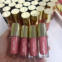 Huile à lèvres pigmentée Big Brush 10 couleurs changeantes, effet magique hydratant, brillance transparente, gloss vegan repulpant