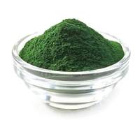 Poudre de spiruline de qualité cosmétique, extrait d'herbes sauvages fraîches en gros pour la peau, conditionnée en fût