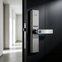 Direct leverbaar Tuya WIFI Smart Card deurvergrendeling app-besturing op maat gemaakte wachtwoord elektrische slot voor thuis & hotelgebruik