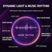 Lampe d'ambiance Symphony 256 couleurs, connexion Bluetooth sans fil, sans modification de câblage, pour kit de décoration intérieure Tesla Model 3