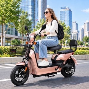 Scooter Eléctrico de Bajo Costo para Adultos, 2 Asientos, Batería de Plomo-Ácido de 48V, Bicicleta Eléctrica para Desplazamientos Diarios, Precio al por Mayor - Product Image 1
