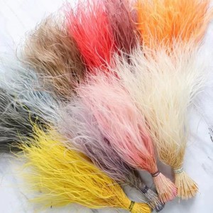 Herbe à plumes Stipa Tenuis naturelle séchée, nouvelle récolte, couleur vert faible saturation, protection de l'environnement, pour la décoration de la maison et les cérémonies de remise de diplômes - Product Image 2