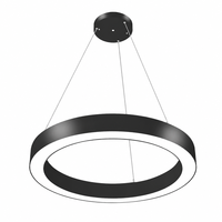 Lustre suspendu en acier à cercle central, 20W 40W 60W, luminaire LED linéaire rond