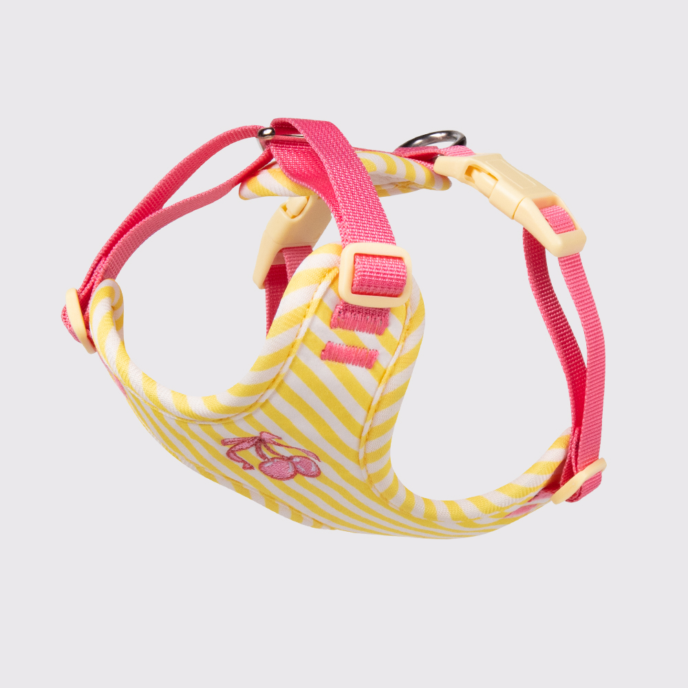 Yellow-Harness