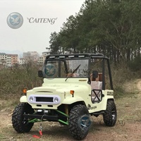 Buggy tout-terrain 4x4 électrique/essence 320cc/350cc à transmission automatique, couleur personnalisée, mini jeep buggy, haute vitesse, tout-terrain