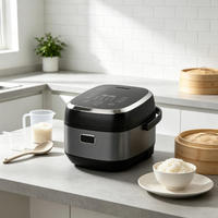 Cuisinière à riz portable intelligente IH avec cuve émaillée, boîtier en plastique, contrôle numérique du minuterie, inclut une tasse doseuse pour usage domestique et hôtelier