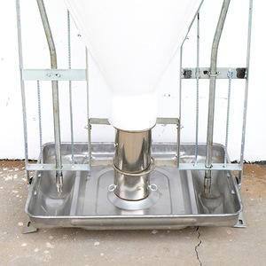 Mangeoire automatique pour porcs (sèche et humide) pour porcelets et porcs d'engraissement, prix usine, équipement d'élevage pour poulaillers et enclos de maternité - Product Image 5