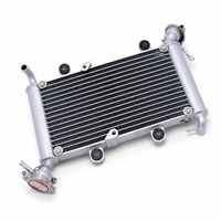 Radiateur de refroidissement à eau pour Bashan 200CC 250CC BS200 BS200S-7 UTV ATV Quad Buggy Accessoires Moteur