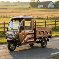Tricycle de transport de bétail pour le transport de marchandises avec certificat EEC COC CE, moteur 1500w, polyvalent et adaptable à divers scénarios européens