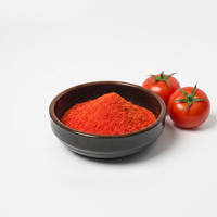 Poudre d'assaisonnement de tomates séchées mélangées de haute qualité pour emballage personnalisé