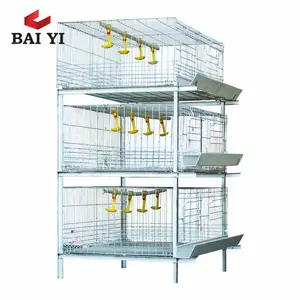 H Type Battery Cage For Broiler Chickens