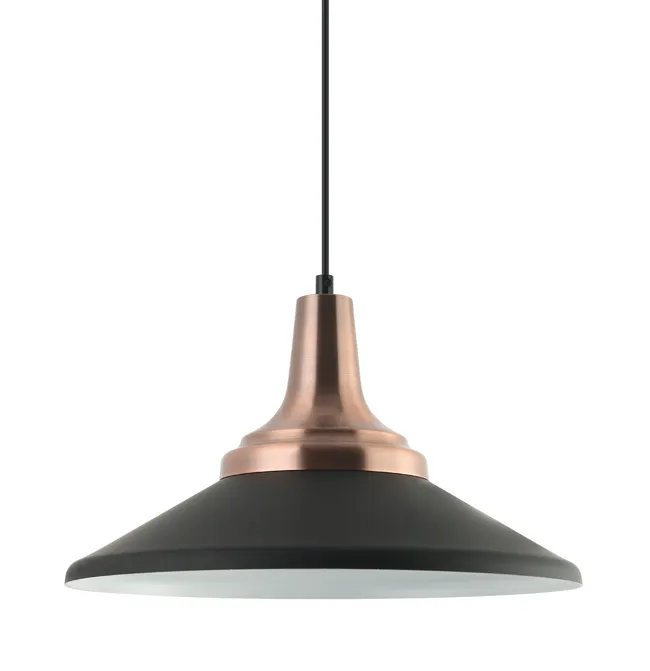 E27 Lichtbron Decoratieve Hanger Opknoping Lamp, Ijzer Materiaal En Zwarte Kleur Vintage Hanger Lamp (P2020-2)