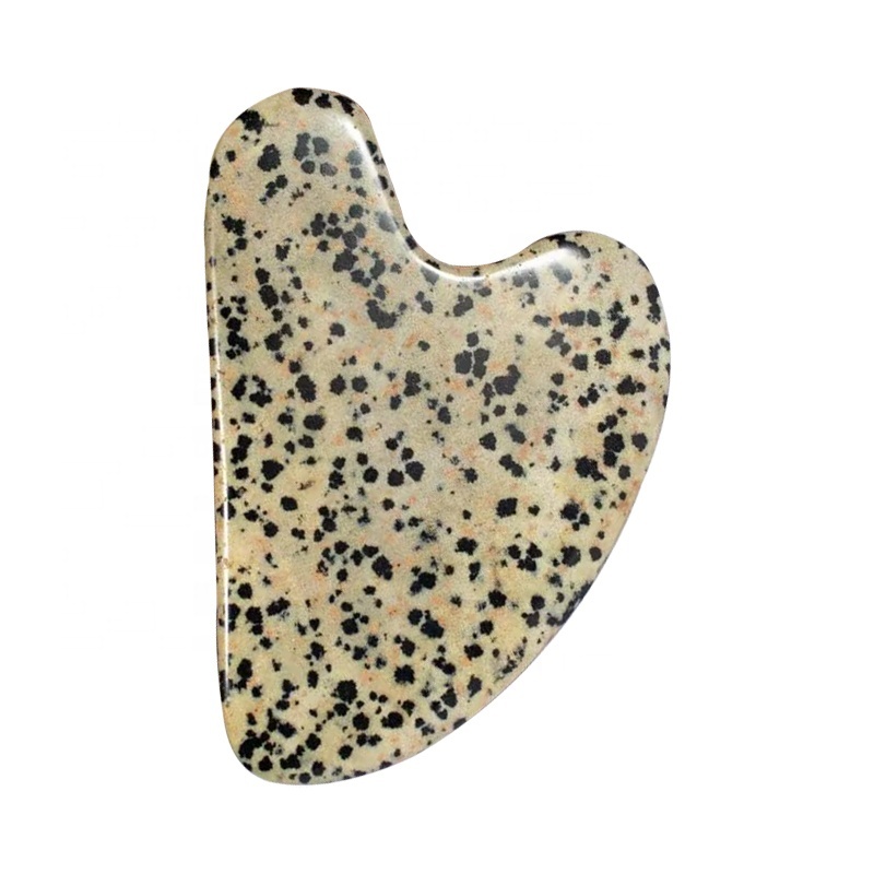 GS970 Dalmatian Jasper