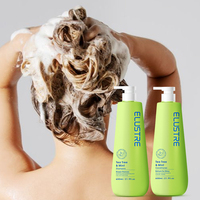 Set de Cuidado Capilar Orgánico de Marca Blanca para Cabello Graso con Menta Refrescante, Calmante para el Cuero Cabelludo, Anticaspa, Antifrizz, Aceite de Árbol de Té y Ácido Salicílico
