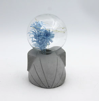 Lampe de nuit en verre en forme de dôme avec base en ciment, avec cypress préservé et guirlande lumineuse LED féerique, pour Noël, décoration de table, cadeau