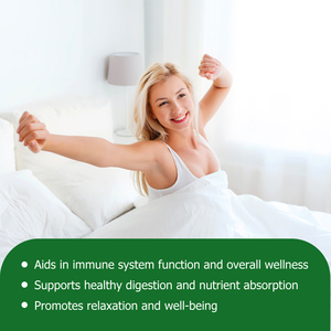 Private Label Folic Acid Capsules with Folic Acid Supports Normal Body Supports Healthy Digestion and Nutrient Absorption - Product Image 3