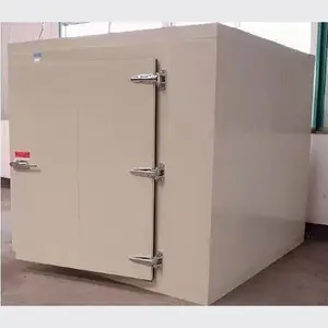 Wholesale storage of fruits and vegetables white square industrial commercial cold room