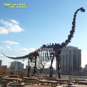 Sân chơi ngoài trời lớn <span class=keywords><strong>Brachiosaurus</strong></span> Bộ Xương Khủng Long nhân tạo - Product Image 4