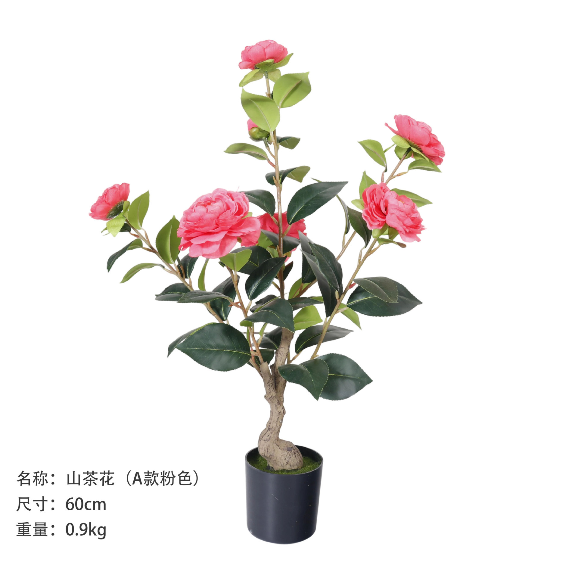 Camélia 60 cm (Type A, rose)