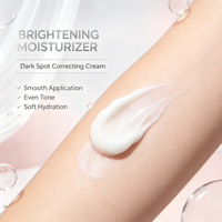 ETRUN ALISA Marque privée Crème à la niacinamide Suppression des taches de rousseur Correcteur des taches brunes pour l'hyperpigmentation