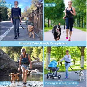 Correa <span class=keywords><strong>de</strong></span> perro funcional y elegante montada en la cintura con rayas reflectantes correa elástica y bolsillo <span class=keywords><strong>de</strong></span> almacenamiento para pasear <span class=keywords><strong>perros</strong></span> - Product Image 3