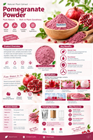 Poudre de fruit de grenade pure naturelle soluble dans l'eau, qualité alimentaire, en vrac, directement de l'usine, pour confiserie et substitut de repas