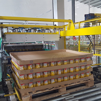 Volautomatische Ingeblikte Olijvenproductielijn/Ingeblikte Fruitverwerkingslijn