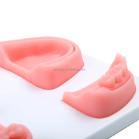 Kit de formation à la suture orale Danter, modèle en silicone pour la suture dentaire (4 tailles complètes) |   Instruments chirurgicaux manuels |   High Medical